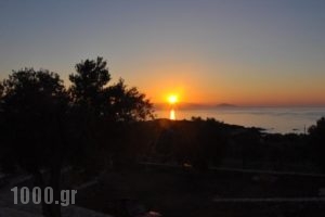 Mitatos_lowest prices_in_Hotel_Cyclades Islands_Naxos_Naxos Rest Areas