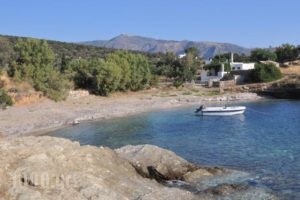 Mitatos_best deals_Hotel_Cyclades Islands_Naxos_Naxos Rest Areas