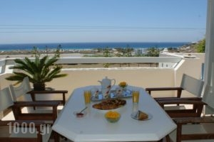 Villa Porto Rondo_lowest prices_in_Villa_Cyclades Islands_Naxos_Naxos chora