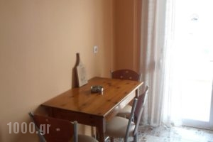 Apartments Palladium_best deals_Apartment_Macedonia_Pieria_Olympiaki Akti