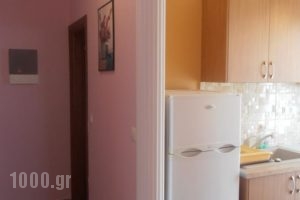 Apartments Palladium_accommodation_in_Apartment_Macedonia_Pieria_Olympiaki Akti