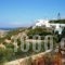 Kounenos Apartments_lowest prices_in_Apartment_Crete_Lasithi_Aghios Nikolaos