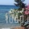 Aliki Studios_best deals_Hotel_Ionian Islands_Corfu_Corfu Rest Areas