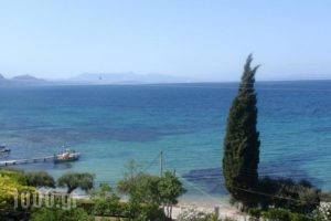 Aliki Studios_travel_packages_in_Ionian Islands_Corfu_Corfu Rest Areas