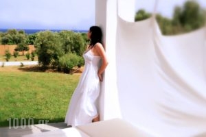 Olivemare_holidays_in_Hotel_Ionian Islands_Kefalonia_Katelios
