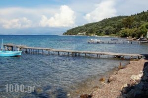 Aliki Studios_holidays_in_Hotel_Ionian Islands_Corfu_Corfu Rest Areas