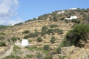 Petra & Fos Studios_holidays_in_Hotel_Cyclades Islands_Sifnos_Sifnos Chora