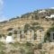 Petra & Fos Studios_holidays_in_Hotel_Cyclades Islands_Sifnos_Sifnos Chora