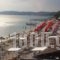 Green Velvet Hotel_holidays_in_Hotel_Aegean Islands_Thassos_Thassos Chora