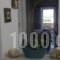 Stefos Rooms_best deals_Room_Cyclades Islands_Syros_Galissas