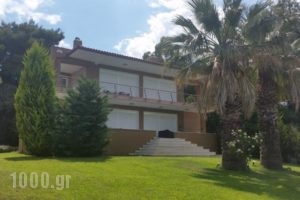 Villa Anna Maria_accommodation_in_Villa_Macedonia_Halkidiki_Kassandreia
