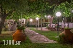 Argiro Studios in Athens, Attica, Central Greece