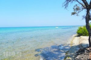 Thasos Blue Apartments_best deals_Apartment_Aegean Islands_Thasos_Thasos Chora