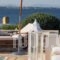 Villa Blue Island_holidays_in_Villa_Central Greece_Attica_Spata