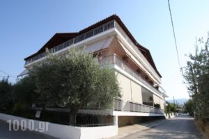 Zagkas Hotel_accommodation_in_Hotel_Central Greece_Evia_Limni
