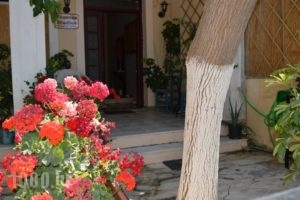 Vanessa Studios_best prices_in_Hotel_Ionian Islands_Zakinthos_Zakinthos Rest Areas