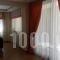 Oneiro Studios_best prices_in_Hotel_Central Greece_Evia_Edipsos