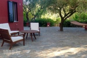 Villa Irene_accommodation_in_Villa_Ionian Islands_Zakinthos_Alykes