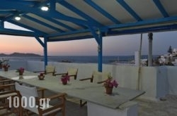 Alpha Studios in Piso Livadi, Paros, Cyclades Islands