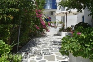 Alpha Studios_holidays_in_Hotel_Cyclades Islands_Paros_Piso Livadi