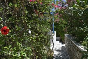 Alpha Studios_best prices_in_Hotel_Cyclades Islands_Paros_Piso Livadi