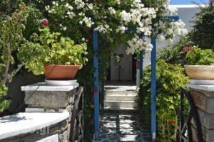 Alpha Studios_lowest prices_in_Hotel_Cyclades Islands_Paros_Piso Livadi
