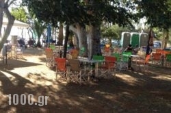 Camping Drepanos in Ammoudara, Heraklion, Crete