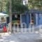 Camping Drepanos_travel_packages_in_Epirus_Thesprotia_Igoumenitsa