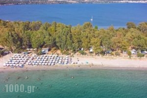 Camping Drepanos_lowest prices_in_Hotel_Epirus_Thesprotia_Igoumenitsa