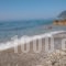 Frini Studios_best deals_Hotel_Aegean Islands_Lesvos_Plomari