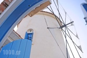 Kerame Studios & Apartments_holidays_in_Apartment_Aegean Islands_Ikaria_Evdilos