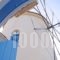 Kerame Studios & Apartments_holidays_in_Apartment_Aegean Islands_Ikaria_Evdilos