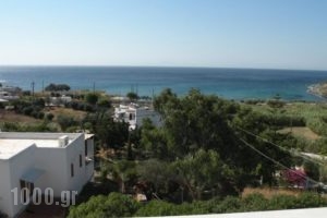 Irida Apartments_best deals_Apartment_Cyclades Islands_Syros_Syros Rest Areas