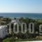 Irida Apartments_best deals_Apartment_Cyclades Islands_Syros_Syros Rest Areas