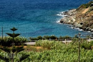 Irida Apartments_lowest prices_in_Apartment_Cyclades Islands_Syros_Syros Rest Areas