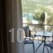 Ilianthos Apartments & Rooms_best prices_in_Room_Ionian Islands_Lefkada_Lefkada's t Areas