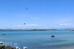 Christaras Apartments_holidays_in_Apartment_Macedonia_Halkidiki_Vourvourou