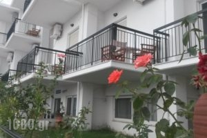 Dinos Studios_accommodation_in_Hotel_Ionian Islands_Zakinthos_Zakinthos Rest Areas