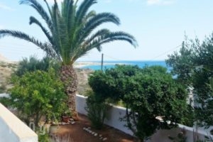 Villa Xenia_holidays_in_Villa_Crete_Lasithi_Ierapetra
