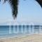 Aegean Blue Beach Hotel_accommodation_in_Hotel_Macedonia_Halkidiki_Nea Kallikrateia