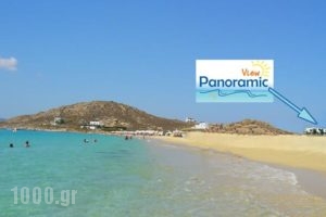 Panoramic View_holidays_in_Hotel_Cyclades Islands_Naxos_Naxos chora