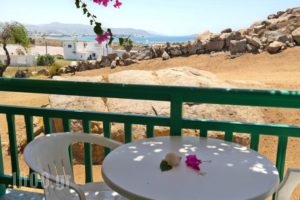 Panoramic View_accommodation_in_Hotel_Cyclades Islands_Naxos_Naxos chora