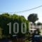 Andreas Studios_best deals_Hotel_Dodekanessos Islands_Kos_Kos Rest Areas
