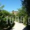 Emely Apartments_best deals_Apartment_Ionian Islands_Corfu_Corfu Rest Areas