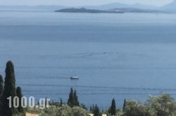 Zeus Apartments in Rhodes Rest Areas, Rhodes, Dodekanessos Islands