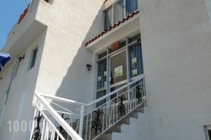 Eri Studios_holidays_in_Hotel_Piraeus Islands - Trizonia_Aigina_Aigina Chora