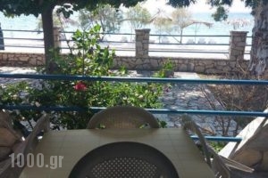 Holiday Tolofona_holidays_in_Hotel_Peloponesse_Achaia_Simpolitia