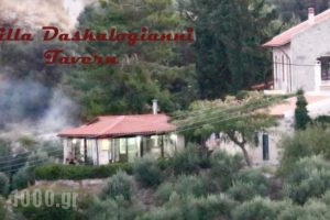 Villa Daskalogianni_lowest prices_in_Villa_Crete_Heraklion_Matala