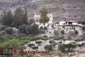 Villa Daskalogianni_best prices_in_Villa_Crete_Heraklion_Matala
