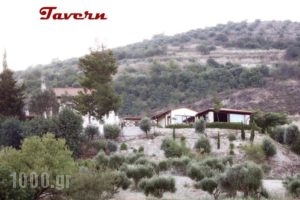Villa Daskalogianni_holidays_in_Villa_Crete_Heraklion_Matala